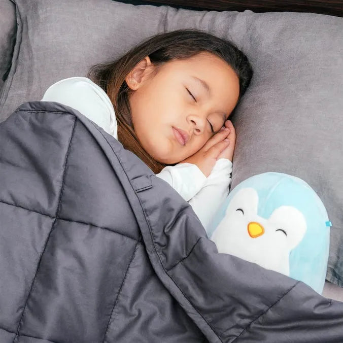 Bed Buddy Weighted Blanket