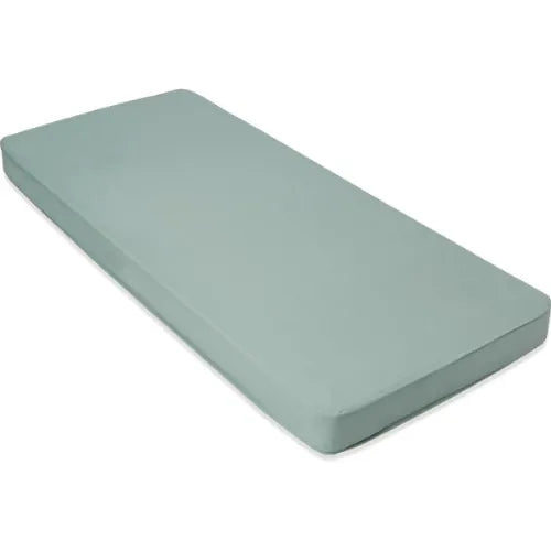 Medline Full Electric Low Bed for Homecare with Easy Transport and Rolling Casters