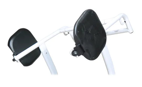 BestMove Sit-to-Stand Active Mobile Standing Aid
