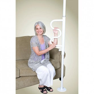 Security Pole and Pivoting Curve Grab Bar