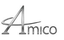 Amico  Logo