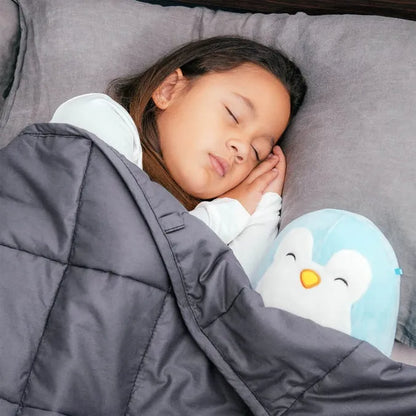 Bed Buddy Weighted Blanket