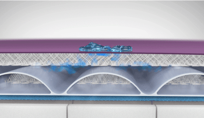 PressureGuard Easy Air® LR LAL Therapy Alternating Pressure Mattress